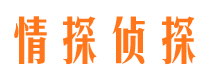 复兴侦探公司